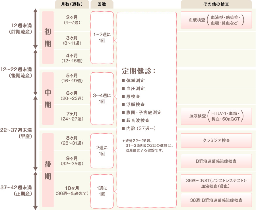妊婦健診の図