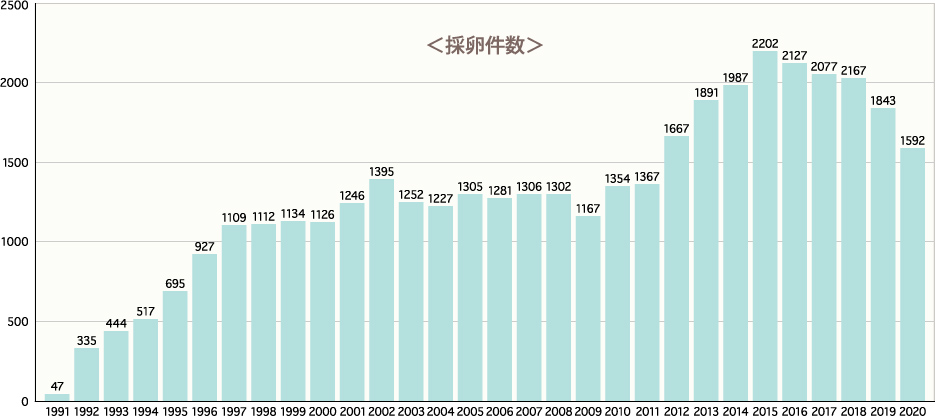 成田産婦人科の採卵件数のグラフ