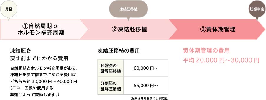 凍結胚周期の費用の目安図 凍結胚を戻す前までにかかる費用 自然周期とホルモン補充周期があり、凍結胚を戻す前までにかかる費用はどちらも約30,000円~40,000円(エコー回数や使用する薬剤によって変動します。) 凍結胚移植の費用 胚盤胞の融解胚移植の場合60,000円〜(融解させる個数により変動) 分割胚の融解胚移植の場合 55,000円〜(融解させる個数により変動) 黄体期管理の費用 平均20,000円〜30,000円